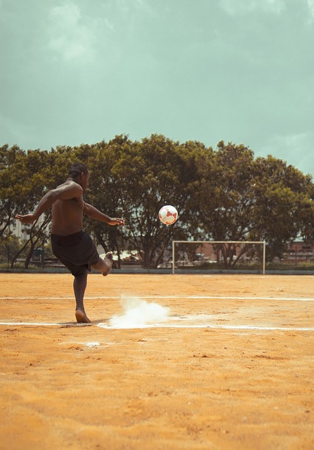 新成立的南 新成立的南