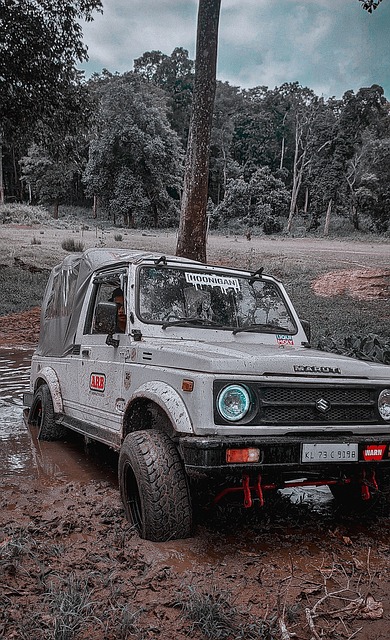 精彩程度毋 精彩程度毋