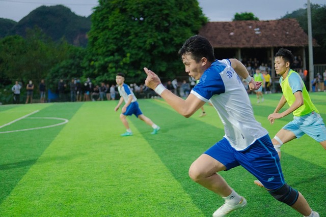 的战术指导 的战术指导