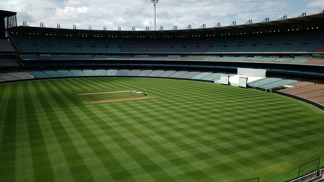 精彩纷呈的 精彩纷呈的