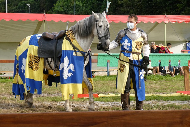 对比来看 对比来看